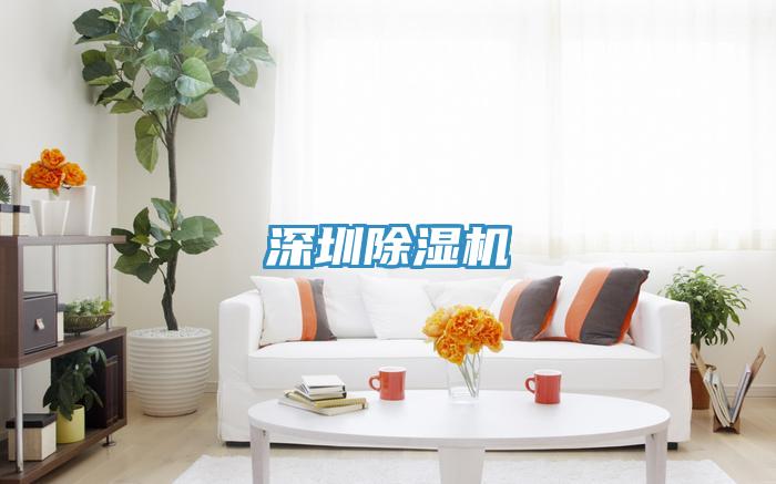 深圳小黄片软件免费下载