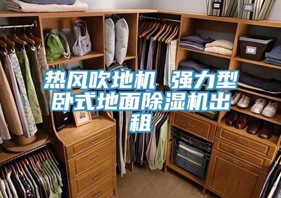 熱風吹地機 強力型臥式地麵小黄片软件免费下载出租