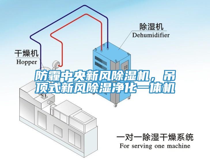 防霾中央新風小黄片软件免费下载，吊頂式新風除濕淨化一體機