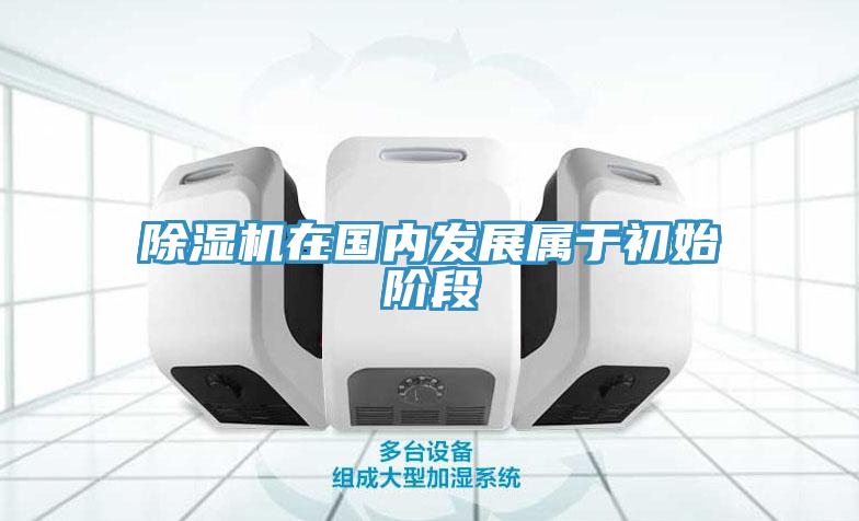小黄片软件免费下载在國內發展屬於初始階段
