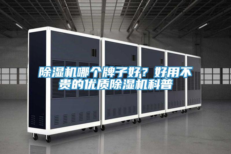 小黄片软件免费下载哪個牌子好？好用不貴的優質小黄片软件免费下载科普