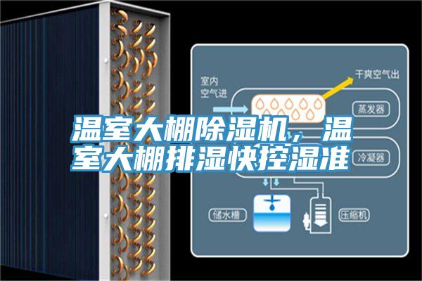 溫室大棚小黄片软件免费下载，溫室大棚排濕快控濕準