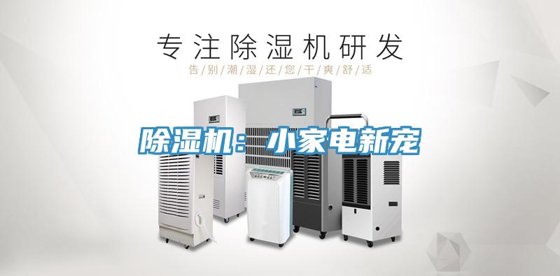 小黄片软件免费下载：小家電新寵
