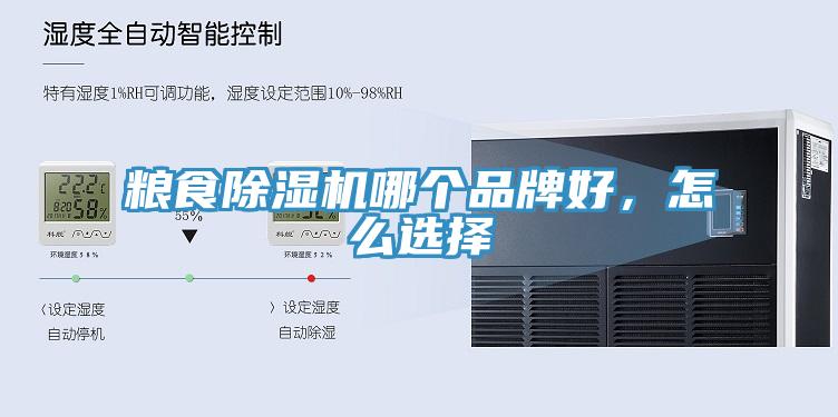 糧食小黄片软件免费下载哪個品牌好，怎麽選擇