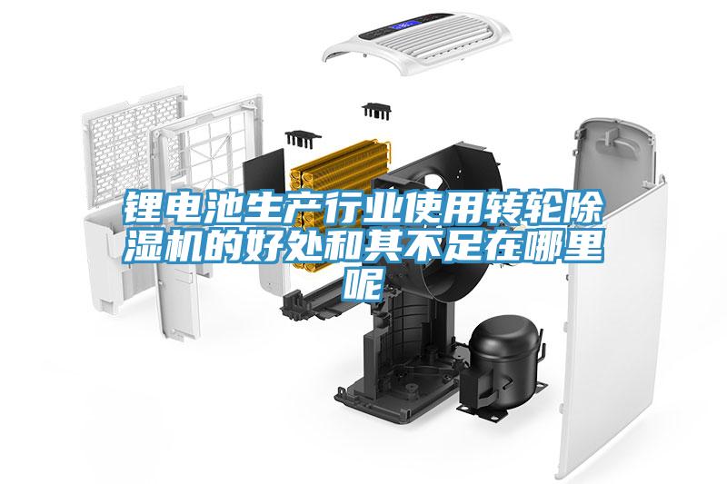 鋰電池生產行業使用轉輪小黄片软件免费下载的好處和其不足在哪裏呢