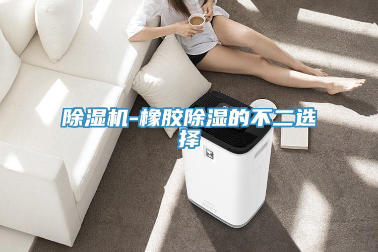 小黄片软件免费下载-橡膠除濕的不二選擇