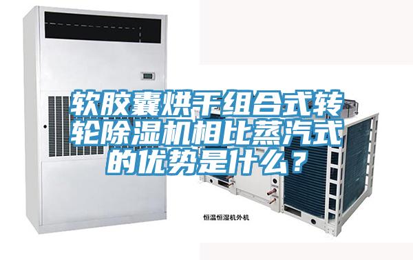軟膠囊烘幹組合式轉輪小黄片软件免费下载相比蒸汽式的優勢是什麽？