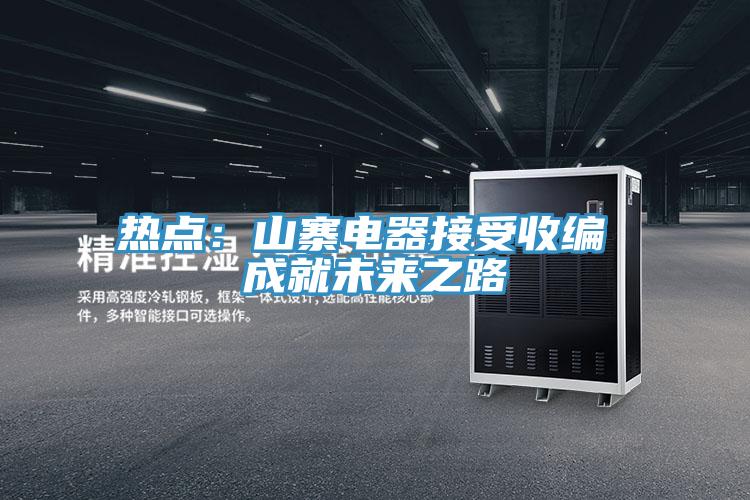 熱點：山寨電器接受收編 成就未來之路
