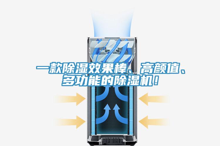 一款除濕效果棒、高顏值、多功能的小黄片软件免费下载！