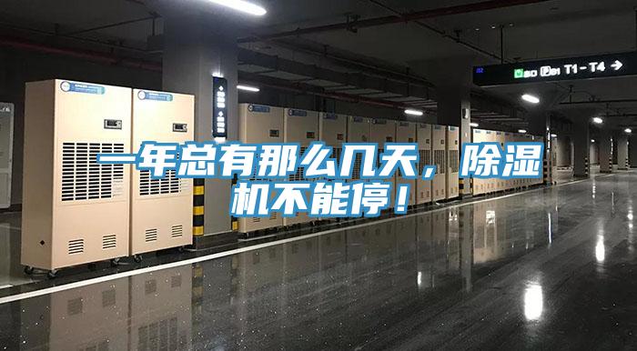 一年總有那麽幾天，小黄片软件免费下载不能停！