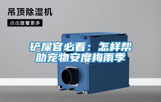 鏟屎官必看：怎樣幫助寵物安度梅雨季
