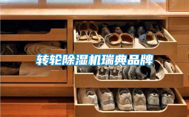轉輪小黄片软件免费下载瑞典品牌