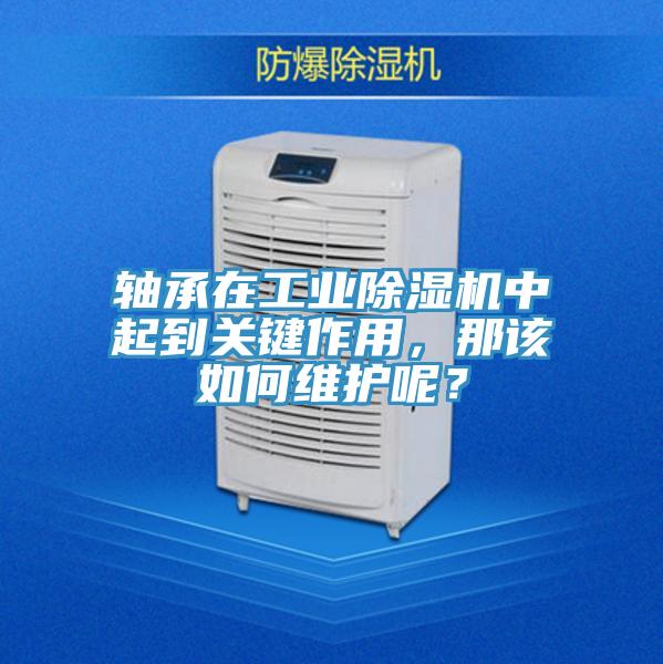 軸承在工業小黄片软件免费下载中起到關鍵作用，那該如何維護呢？