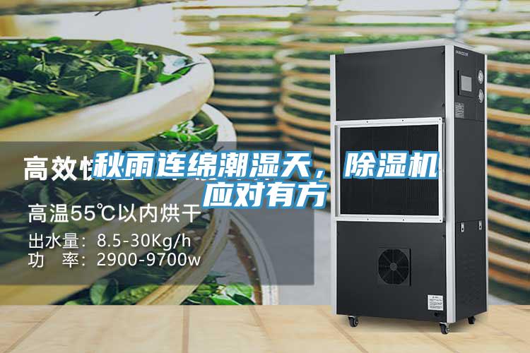 秋雨連綿潮濕天，小黄片软件免费下载應對有方