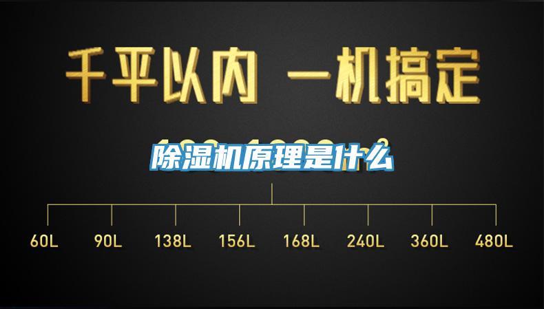 小黄片软件免费下载原理是什麽
