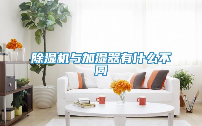 小黄片软件免费下载與加濕器有什麽不同