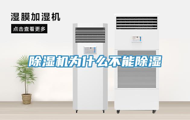 小黄片软件免费下载為什麽不能除濕