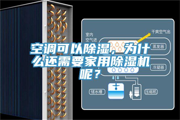 空調可以除濕，為什麽還需要家用小黄片软件免费下载呢？