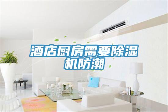 酒店廚房需要小黄片软件免费下载防潮