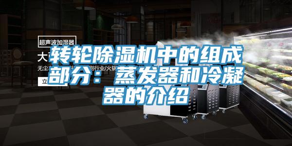 轉輪小黄片软件免费下载中的組成部分：蒸發器和冷凝器的介紹