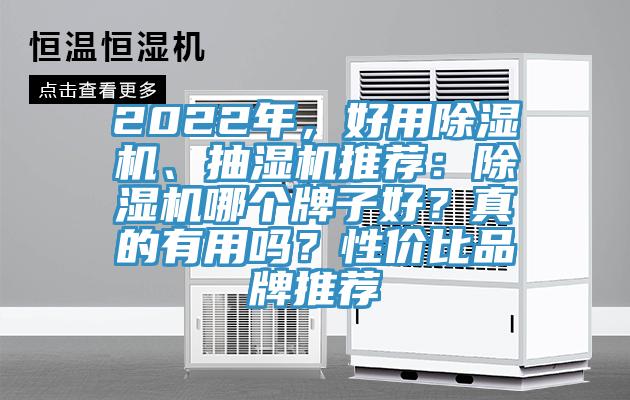 2022年，好用小黄片软件免费下载、抽濕機推薦：小黄片软件免费下载哪個牌子好？真的有用嗎？性價比品牌推薦