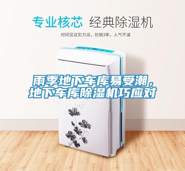 雨季地下車庫易受潮，地下車庫小黄片软件免费下载巧應對