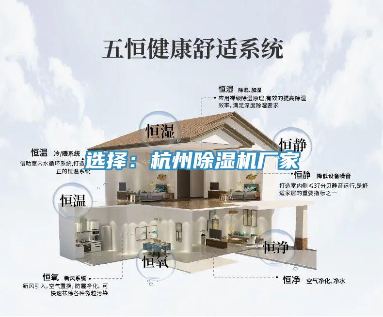 選擇：杭州小黄片软件免费下载廠家