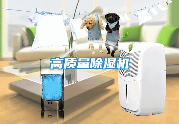 高質量小黄片软件免费下载