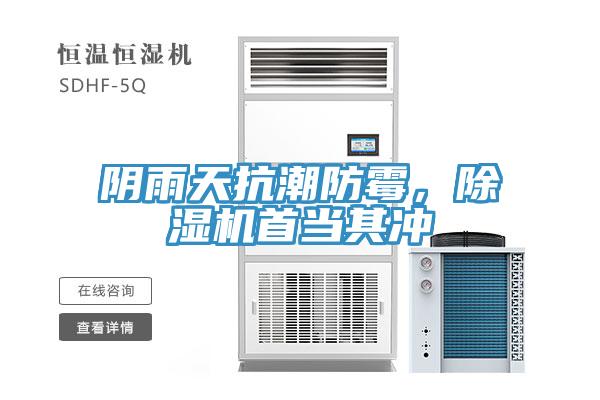 陰雨天抗潮防黴，小黄片软件免费下载首當其衝
