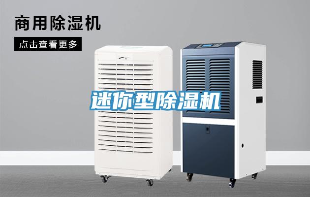 迷你型小黄片软件免费下载