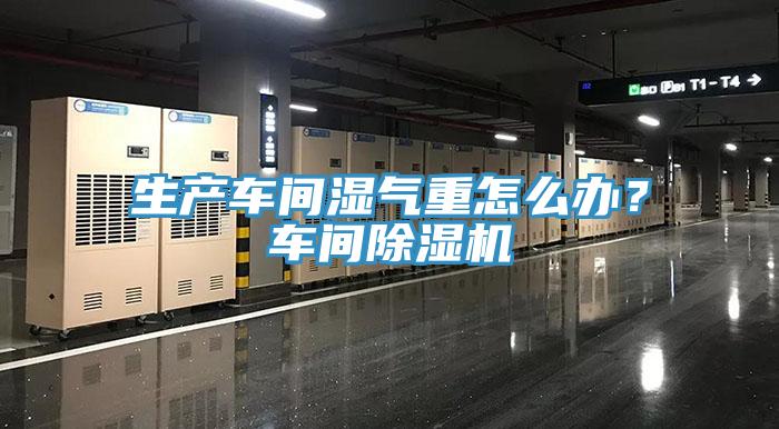 生產車間濕氣重怎麽辦？車間小黄片软件免费下载