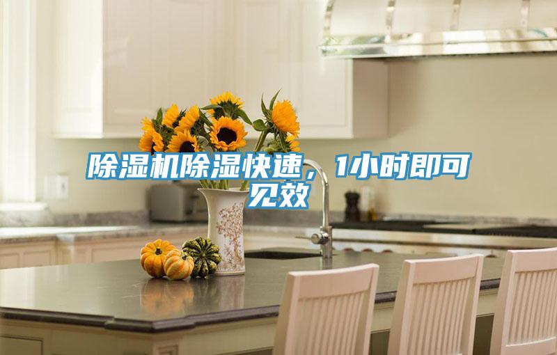 小黄片软件免费下载除濕快速，1小時即可見效