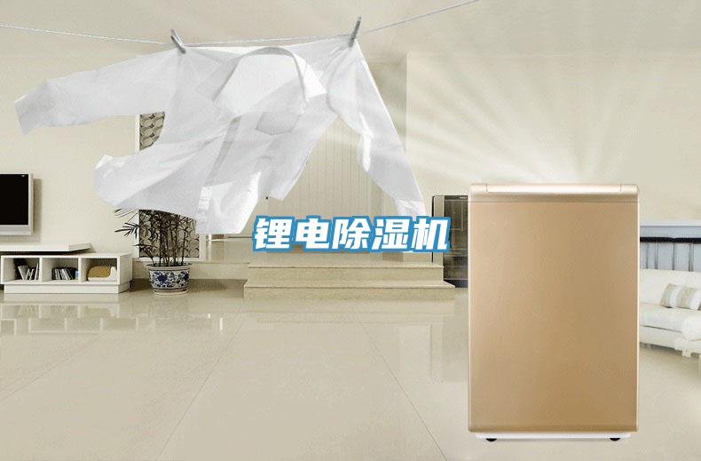 鋰電小黄片软件免费下载