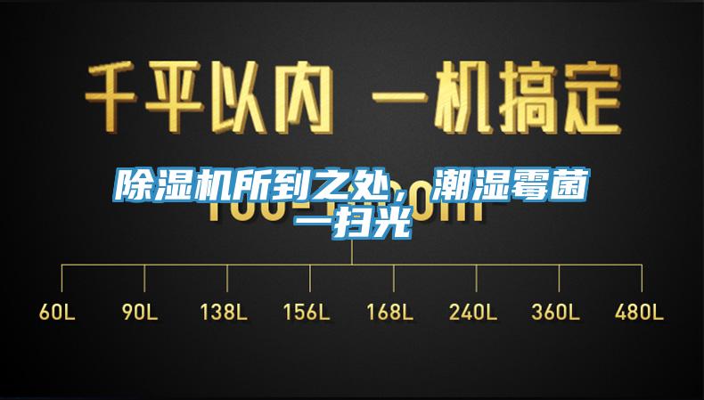 小黄片软件免费下载所到之處，潮濕黴菌一掃光