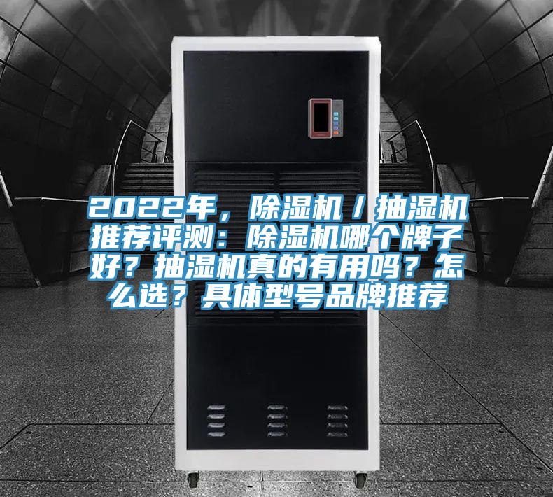 2022年，小黄片软件免费下载／抽濕機推薦評測：小黄片软件免费下载哪個牌子好？抽濕機真的有用嗎？怎麽選？具體型號品牌推薦