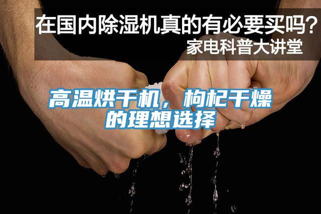 高溫烘幹機，枸杞幹燥的理想選擇