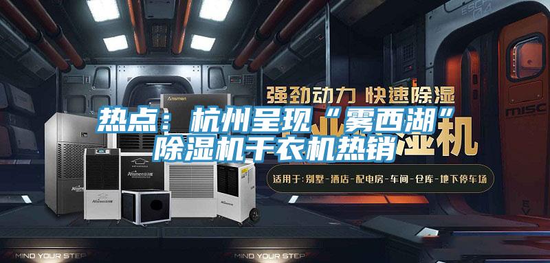 熱點：杭州呈現“霧西湖”小黄片软件免费下载幹衣機熱銷