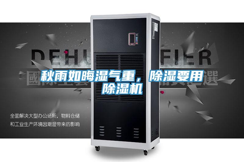 秋雨如晦濕氣重，除濕要用小黄片软件免费下载