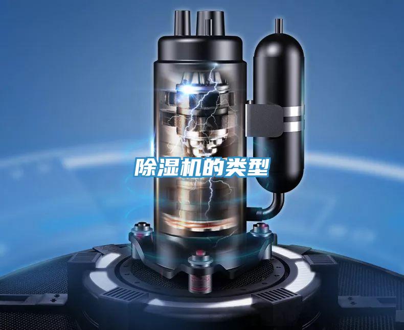 小黄片软件免费下载的類型