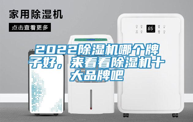 2022小黄片软件免费下载哪個牌子好，來看看小黄片软件免费下载十大品牌吧