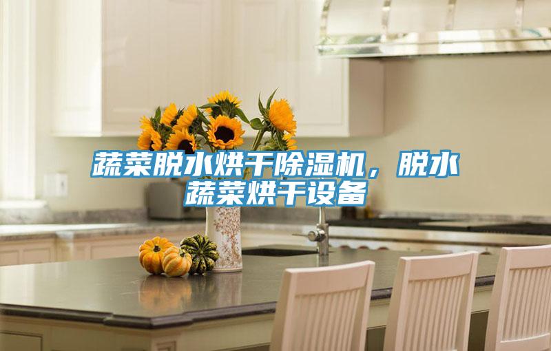 蔬菜脫水烘幹小黄片软件免费下载，脫水蔬菜烘幹設備