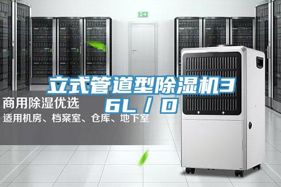 立式管道型小黄片软件免费下载36L／D