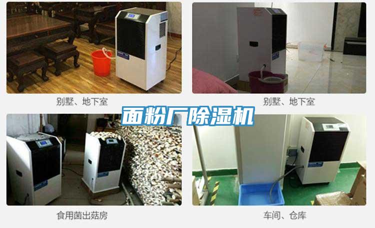 麵粉廠小黄片软件免费下载
