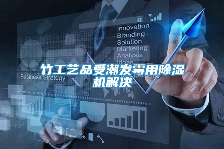 竹工藝品受潮發黴用小黄片软件免费下载解決