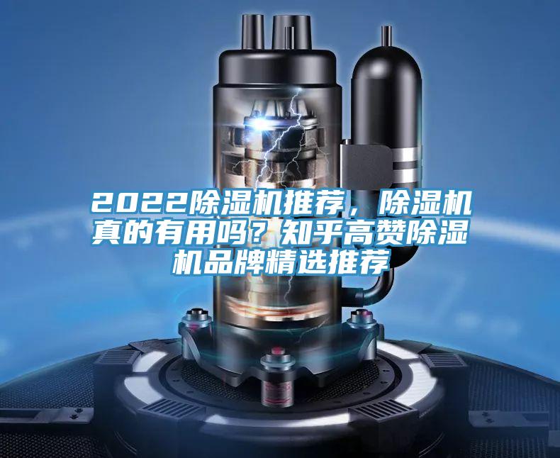 2022小黄片软件免费下载推薦，小黄片软件免费下载真的有用嗎？知乎高讚小黄片软件免费下载品牌精選推薦