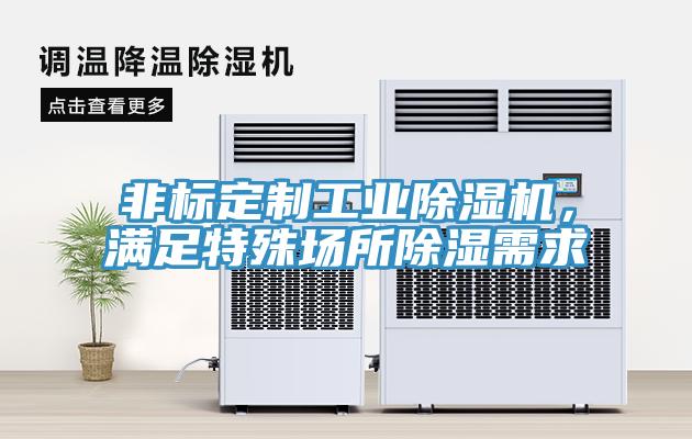非標定製工業小黄片软件免费下载，滿足特殊場所除濕需求