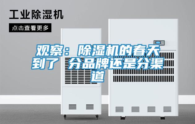 觀察：小黄片软件免费下载的春天到了 分品牌還是分渠道