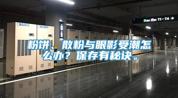 粉餅、散粉與眼影受潮怎麽辦？保存有秘訣。