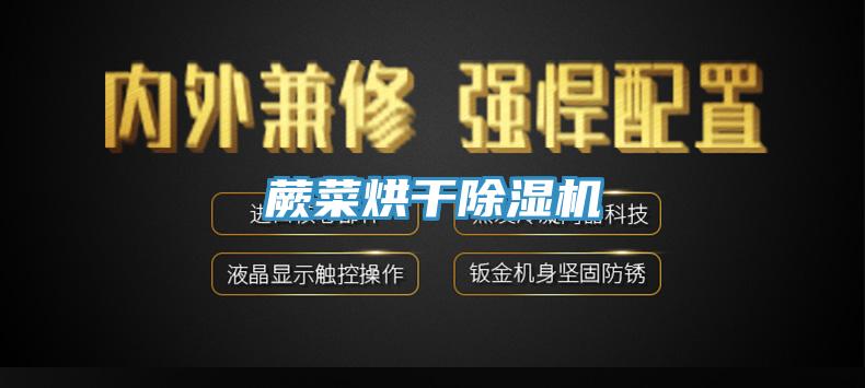 蕨菜烘幹小黄片软件免费下载