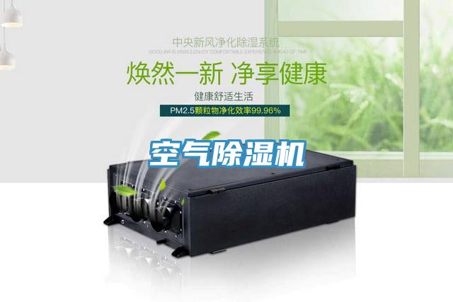 空氣小黄片软件免费下载